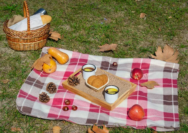 Autumn picnic in the Park with fruit, cookies and tea with apples. There\'s a baguette and a thermos of hot drink in the picnic basket. Autumn maple leaves, pumpkin and walnuts. Autumn vacation.