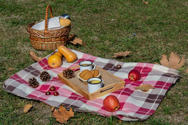 Autumn picnic in the Park with fruit, cookies and tea with apples. There\'s a baguette and a thermos of hot drink in the picnic basket. Autumn maple leaves, pumpkin and walnuts. Autumn vacation.