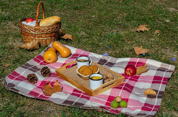 Autumn picnic in the Park with fruit, cookies and tea with apples. There\'s a baguette and a thermos of hot drink in the picnic basket. Autumn maple leaves, pumpkin and walnuts. Autumn vacation.