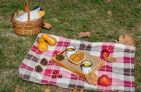 Autumn picnic in the Park with fruit, cookies and tea with apples. There\'s a baguette and a thermos of hot drink in the picnic basket. Autumn maple leaves, pumpkin and walnuts. Autumn vacation.