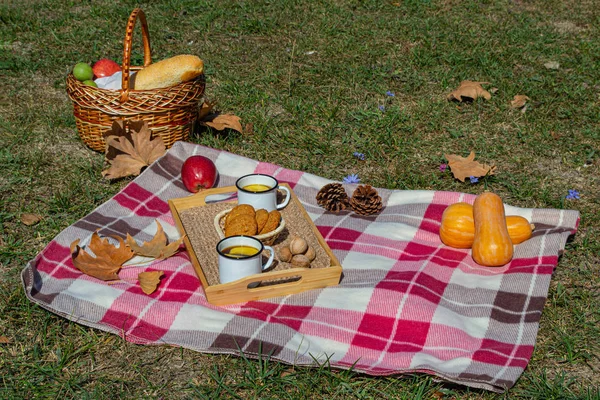 Pique Nique Automne Dans Parc Avec Fruits Biscuits Thé Aux — Photo