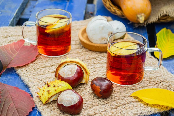 Autumn picnic in the old Park with hot tea. In the picnic basket is a pumpkin and chestnuts collected in the autumn forest.  Autumn vacation.