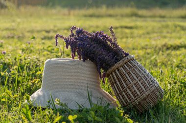 Gün batımında yeşil çimlerin üzerinde bir sepet çiçek ve şapka. Kırsalda yaz. Eko konsepti. Bulanık odak.