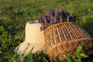 Gün batımında yeşil çimlerin üzerinde bir sepet çiçek ve şapka. Kırsalda yaz. Eko konsepti. Bulanık odak.