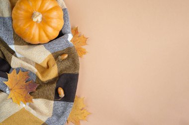 Sonbahar kompozisyonu Flatlay. Turuncu balkabağı, ekose, kuru sonbahar yaprakları, pastel bej arka planda koniler. Sonbahar minimalizmi konsepti, afiş. Düz yatak, üst manzara..