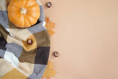 Sonbahar kompozisyonu Flatlay. Turuncu balkabağı, ekose, kuru sonbahar yaprakları, pastel bej arka planda koniler. Sonbahar minimalizmi konsepti, afiş. Düz yatak, üst manzara..