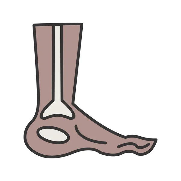 Fuß Röntgenlinie gefüllt Symbol — Stockvektor