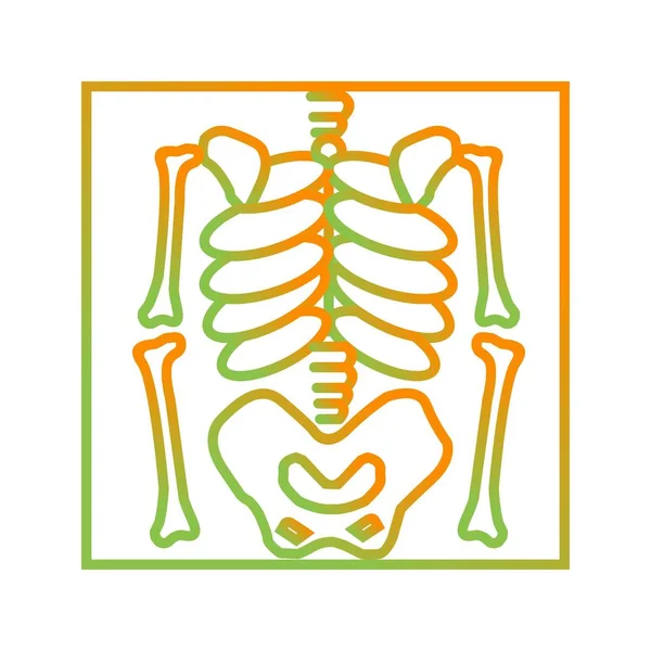 Mooi skelet vector lijn icoon — Stockvector