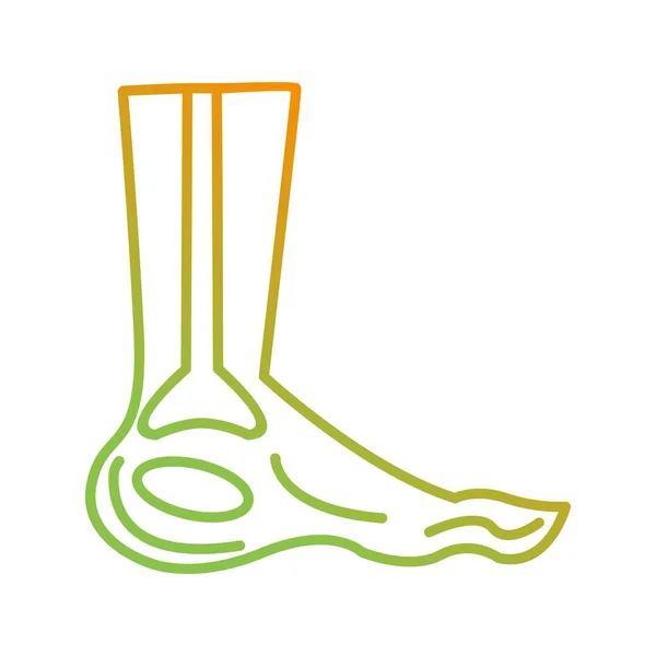 Beautiful foot vector line icon — Stock Vector