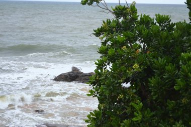 Okyanusta büyük dalgalar