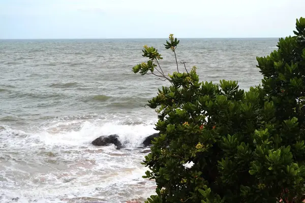 Grosses Vagues Sur Océan — Photo