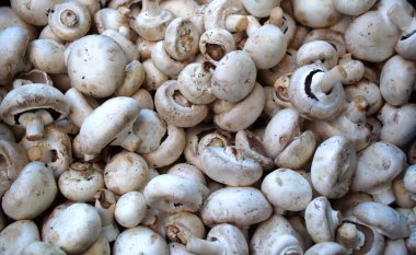 doğal renk dokusu ve mozaik