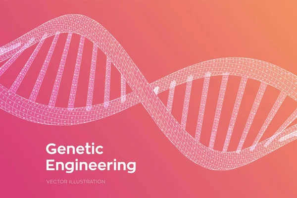 DNA 서열. 개념 이진 코드 인간 게놈. 와이어 프레임 디지털 DNA 분자 구조 메쉬. 관절 지능 DNA 코드 편집 템플릿. 과학 기술 개념. 벡터 일러스트레이션. — 스톡 벡터