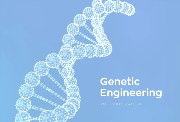 DNA-sequentie. Draadmodel DNA-moleculen structuur mesh. DNA-code bewerkbare sjabloon. Wetenschaps-en technologie concept. Vector illustratie. — Stockvector