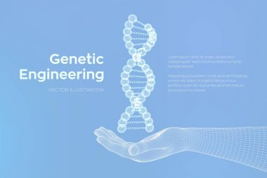 Dna dizisi elde. Tel kafes DNA molekülleri mesh yapı. DNA kodu editable şablon. Bilim ve Teknoloji kavramı. Vektör çizimi.