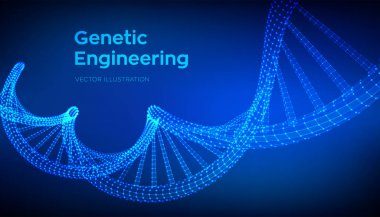 DNA dizisi. Tel kafes DNA molekülleri yapı mesh. DNA kodu düzenlenebilir şablonu. Bilim ve teknoloji konsepti. Vektör Illustration.