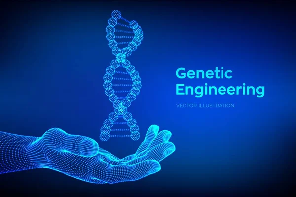 DNA-sekvens i handen. Wireframe DNA-molekyler struktur mesh. Redigerbar DNA-kod mall. Vetenskaps-och teknikkoncept. Vektor illustration. — Stock vektor