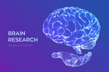 Beyin. İnsan beyni araştırması. 3D bilim ve teknoloji konsepti. Sinir şebekesi. IQ testi, yapay zeka sanal öykünme bilimi teknolojisi. Beyin fırtınası düşünmek fikir. Vektör Illustration.
