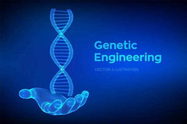 DNA sequence in hand. Wireframe DNA molecules structure mesh. DNA code editable template. Science and Technology concept. Vector illustration.