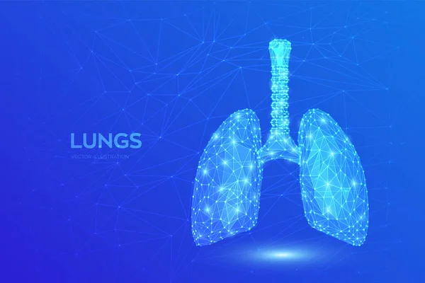 Pulmões Anatomia Dos Pulmões Sistema Respiratório Humano Poligonal Baixo Tratamento —  Vetores de Stock