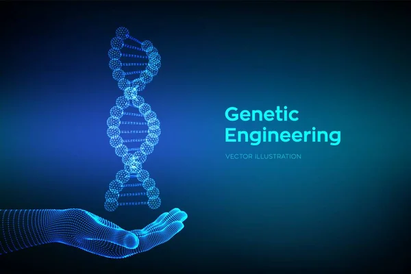 Dna Sequentie Hand Wireframe Dna Moleculen Structuur Mesh Bewerkbare Template — Stockvector