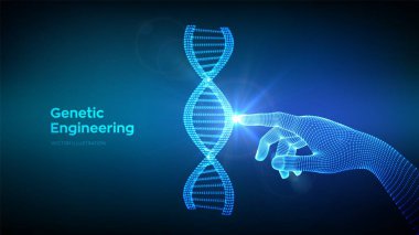 Elle dokunulan DNA dizisi molekülleri yapı örgüsü. Tel çerçeve DNA kodu düzenlenebilir şablon. Genetik mühendisliği. Tıbbi araştırma. Bilim ve Teknoloji konsepti. Vektör illüstrasyonu