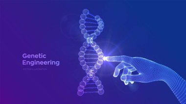 Elle dokunulan DNA dizisi molekülleri yapı örgüsü. Tel çerçeve DNA kodu düzenlenebilir şablon. Genetik mühendisliği. Tıbbi araştırma. Bilim ve Teknoloji konsepti. Vektör illüstrasyonu