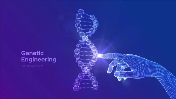 Elle dokunulan DNA dizisi molekülleri yapı örgüsü. Tel çerçeve DNA kodu düzenlenebilir şablon. Genetik mühendisliği. Tıbbi araştırma. Bilim ve Teknoloji konsepti. Vektör illüstrasyonu