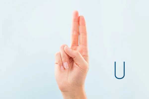 American sign language. Female hand showing letter U isolated on blue background.