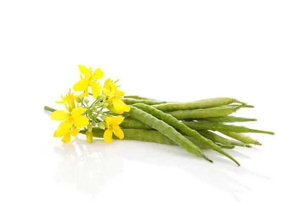 Fiore Frutta Rapiti Isolati Sfondo Bianco — Foto Stock