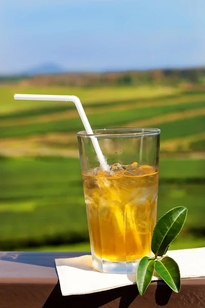 Green ice tea in glass, tea leaves and plantation in background in rural Thailand, Asia.