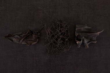 Geleneksel Çin tıbbı deniz yosunu ve siyah arka plan üzerine Dan Shen. TCM üstten görünüm.