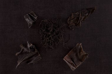 Geleneksel Çin tıbbı deniz yosunu ve siyah arka plan üzerine Dan Shen. TCM üstten görünüm.