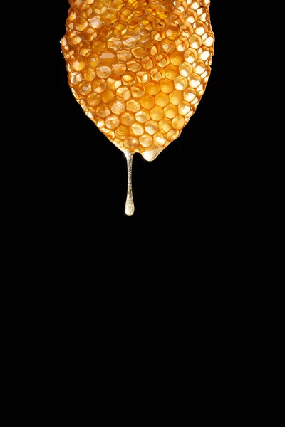 Fesh Honey Dropping Form Honey Comp Isolated Black Background — Stock Photo, Image