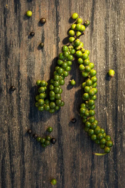 Pimenta Fresca Verde Ramo Milho Cima Secagem Sol — Fotografia de Stock