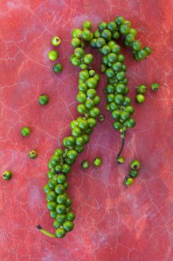 Tarih Pzr kurutma yukarıda yeşil taze biber Grup. 