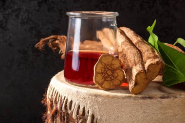 Ayahuasca demlemek baniseriopsis caapi Mimoza hostilis rootbark ve chackruna ile Şamanik Davul bırakır.