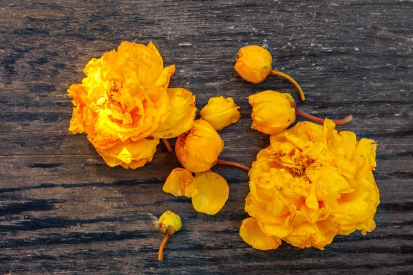 Flores Amarelas Seda Algodão Mesa Madeira Cima — Fotografia de Stock