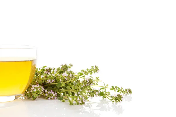 Chá Tomilho Selvagem Com Flores Frescas Isoladas Fundo Branco — Fotografia de Stock