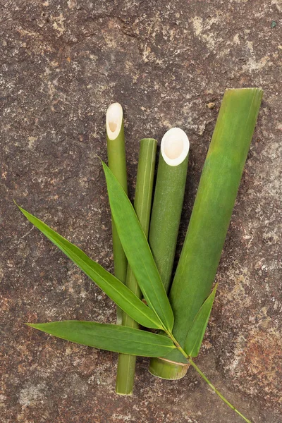 Madeira Bambu Verde Folhas Cima — Fotografia de Stock