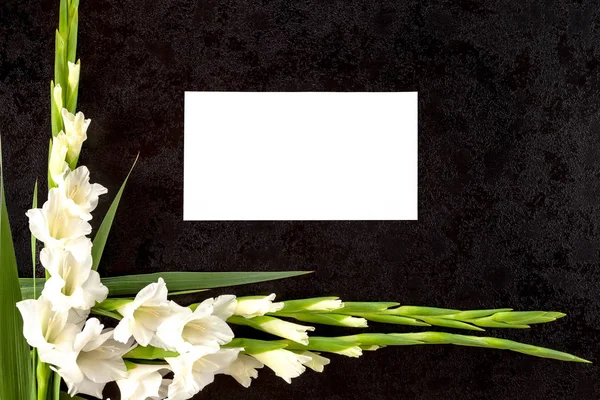 Gladioly Flores Com Papel Branco Para Obituário Aviso Pir — Fotografia de Stock