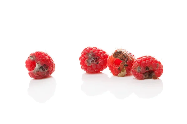 腐烂的树莓在白色背景下分离 — 图库照片