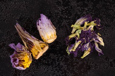 Nymphaea caerulea, Calea Zacatechichi ve Clitoria ternatea yukarıdaki siyah tablo üzerinde. Geleneksel kutsal şifalı bitkiler.