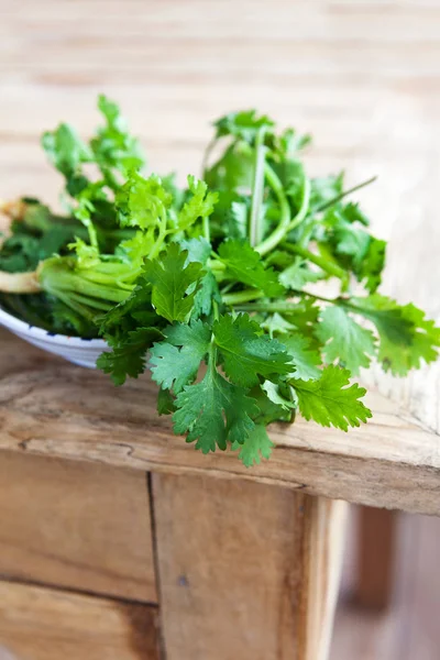 Fresh Coriander Leaves Wooden Table — Stock Photo, Image