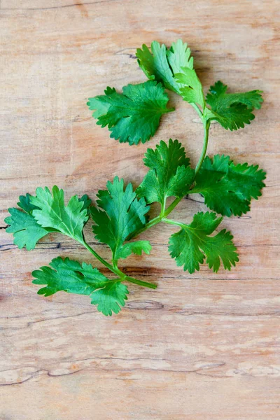 Fresh Green Coriander Leaves Wooden Table — Stock Photo, Image