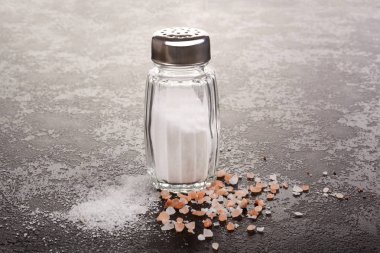 Mutfak Himalaya ve normal tuz masada ve Shaker. 