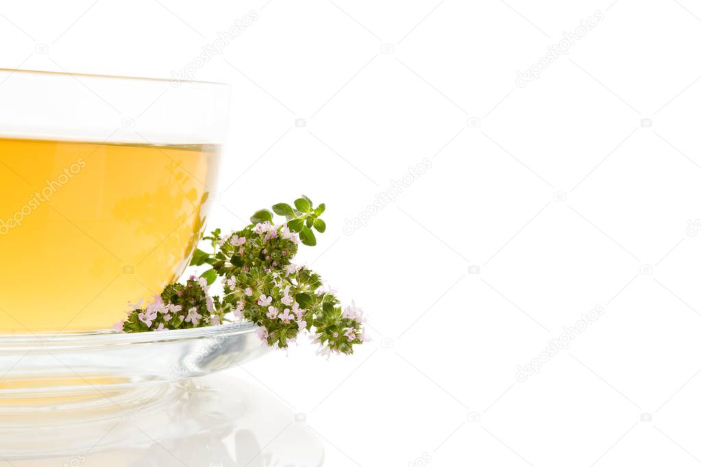 Breckland thyme tea isolated on white background. Medicinal herb.
