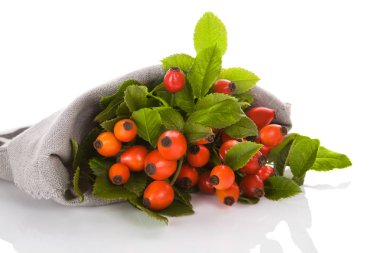 Beyaz arka plan üzerinde izole Kuşburnu. Tıbbi sağlıklı bitki.