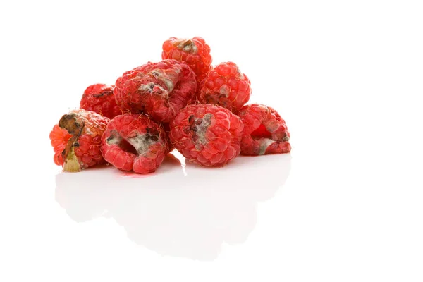 Ruttna Hallon Med Mögel Isolerad Vit Bakgrund Oätbar Ohälsosam Frukt — Stockfoto