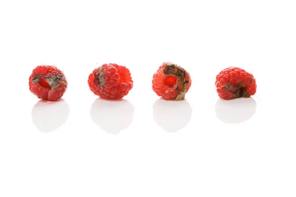 Framboesas Podres Com Molde Isolado Fundo Branco Fruta Insalubre Inigualável — Fotografia de Stock